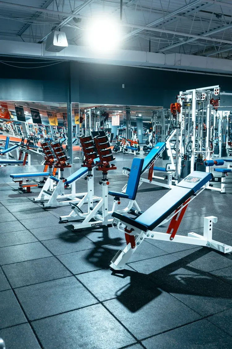 Performance Strength Academy gallery